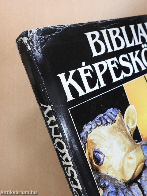 Bibliai képeskönyv