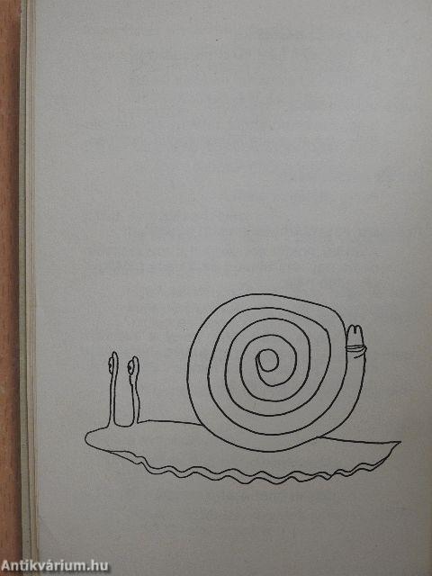 Murphy legjobb magyar tanítványa a nőkről