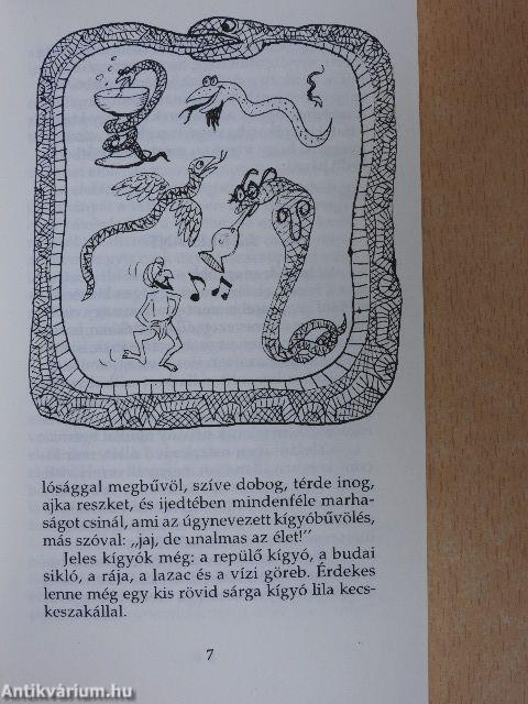 Képtelen természetrajz