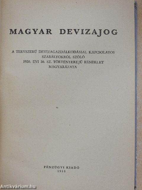 Magyar devizajog