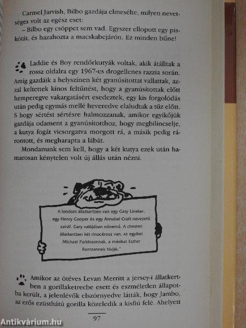 Állati történetek