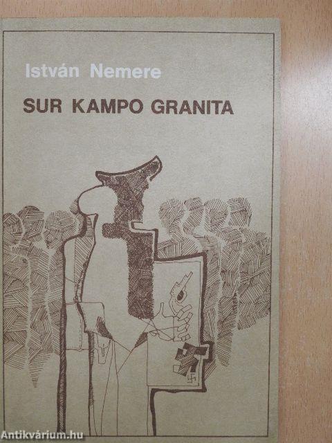 Sur kampo granita