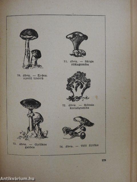 A természet kalendáriuma 1958
