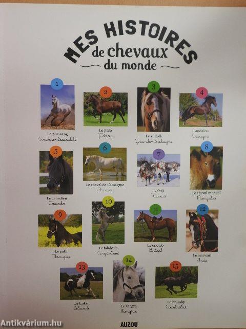 Mes histoires de chevaux du monde