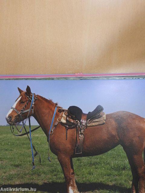 Mes histoires de chevaux du monde
