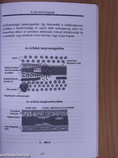 A rák nem betegség