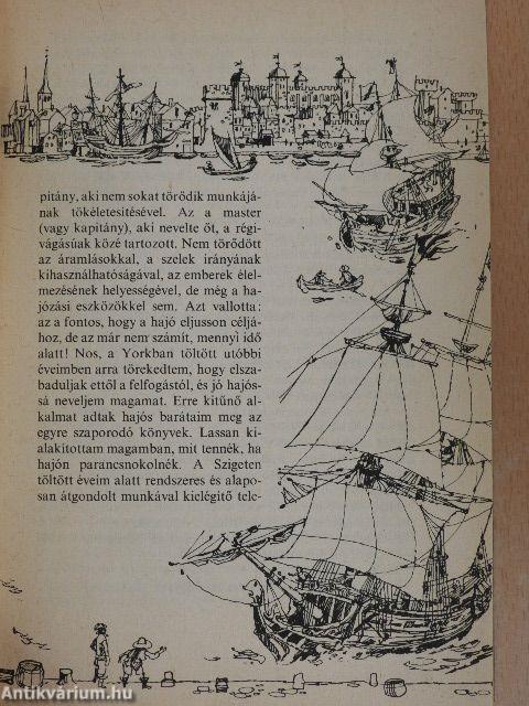 Robinson utolsó kalandja