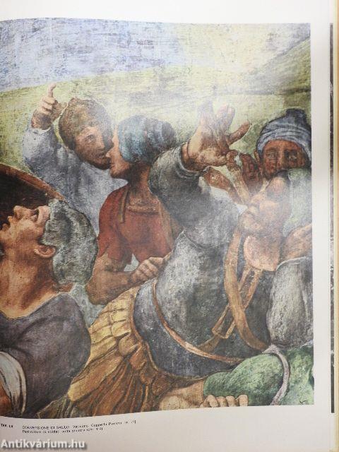 L'opera completa di Michelangelo pittore