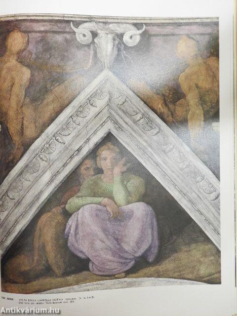 L'opera completa di Michelangelo pittore