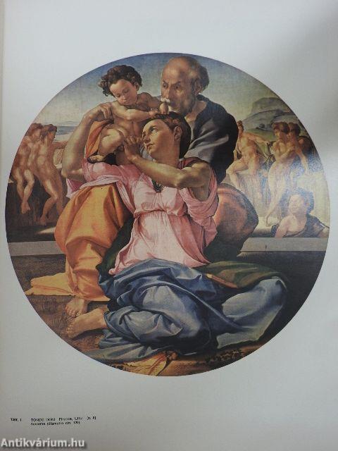 L'opera completa di Michelangelo pittore