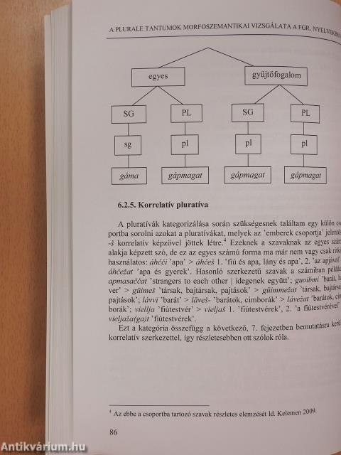 Pluratívák az északi számi (lapp) nyelvben (dedikált példány)