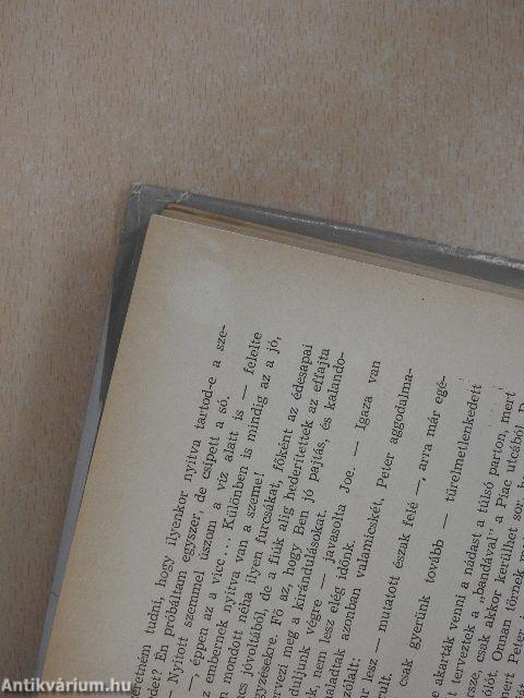 Aki az égtől elragadta a villámot...