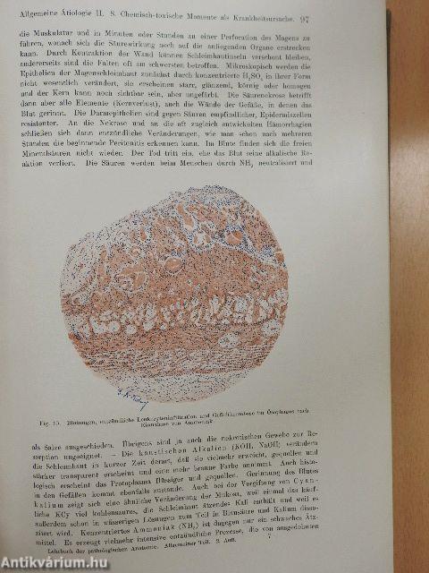 Pathologische Anatomie I-II.