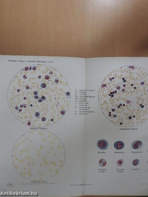 Pathologische Anatomie I-II.