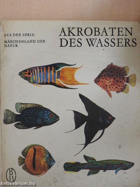 Akrobaten des Wassers