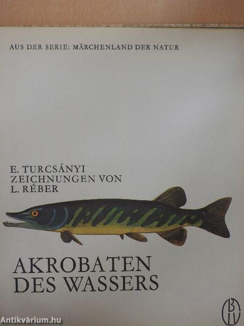 Akrobaten des Wassers