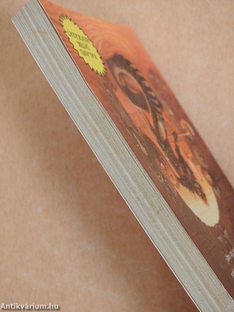 A rémület útvesztője