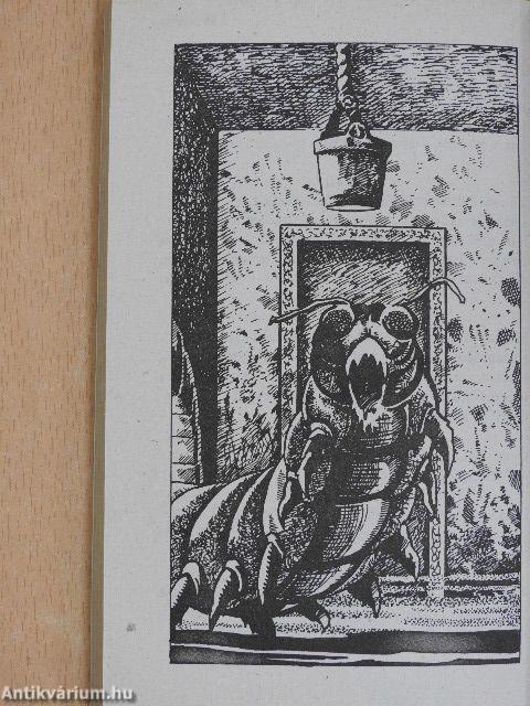 A rémület útvesztője