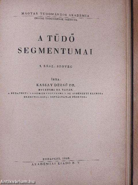 A tüdő segmentumai