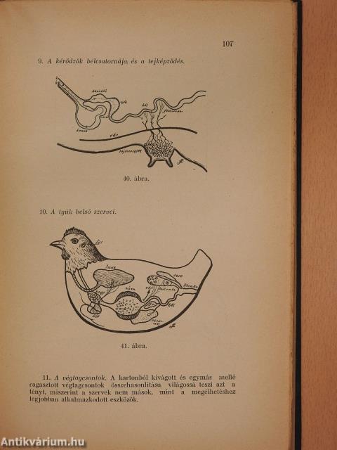 A biológia tanításának vezérkönyve (dedikált példány)