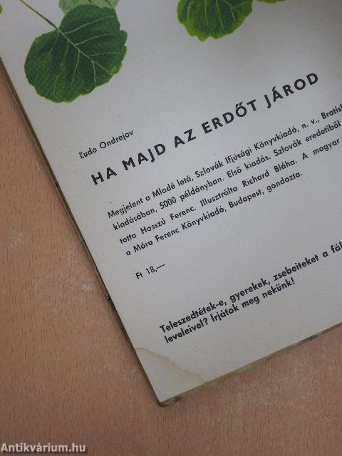 Ha majd az erdőt járod