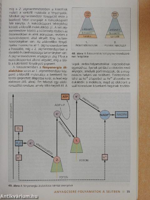 Biológia 11.