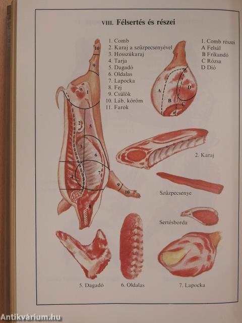 Mesterszakácsok receptkönyve (dedikált példány)