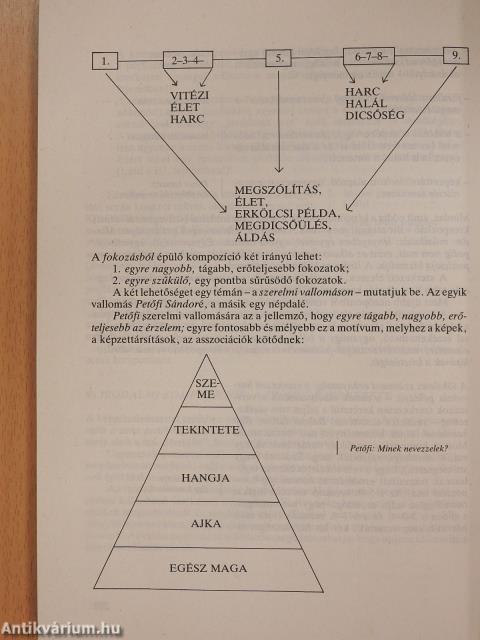 Hasonlóságok és különbözőségek a művészetekben (dedikált példány)