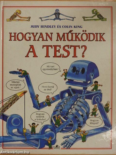 Hogyan működik a test?