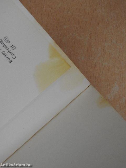 Szemelvények a Féderes Manó emlékirataiból