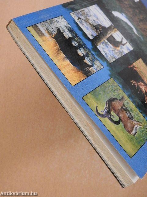 Vadászévkönyv 1999