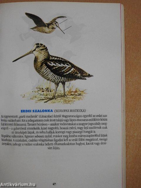 Vadászévkönyv 1999