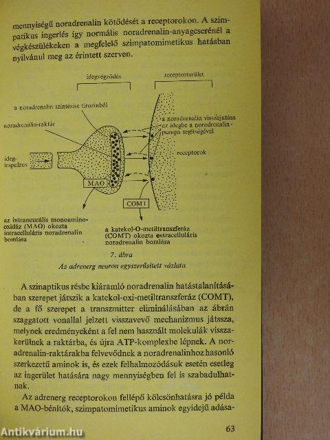 Gyógyszerkölcsönhatások