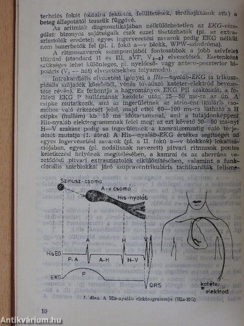 Belgyógyászati problémák az általános orvosi gyakorlatban