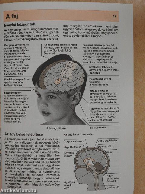 Gyermekbetegségek A-Z-ig