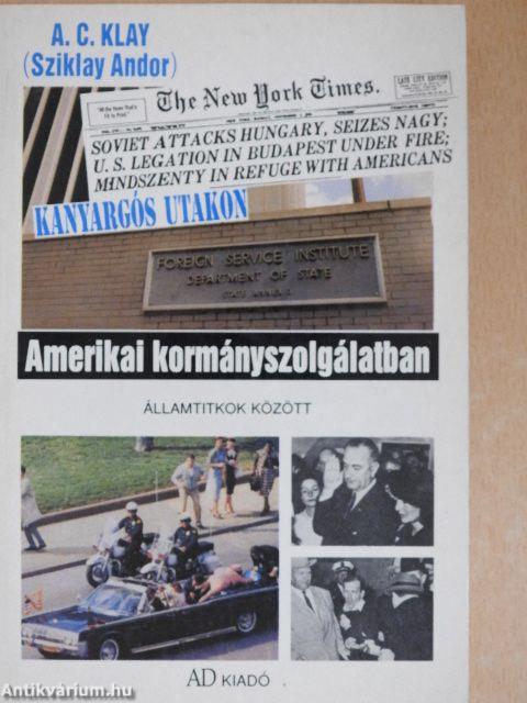 Amerikai kormányszolgálatban