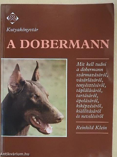 A dobermann