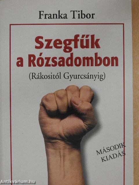 Szegfűk a Rózsadombon