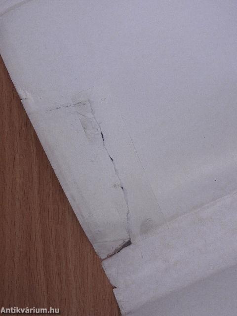 György király bolondja