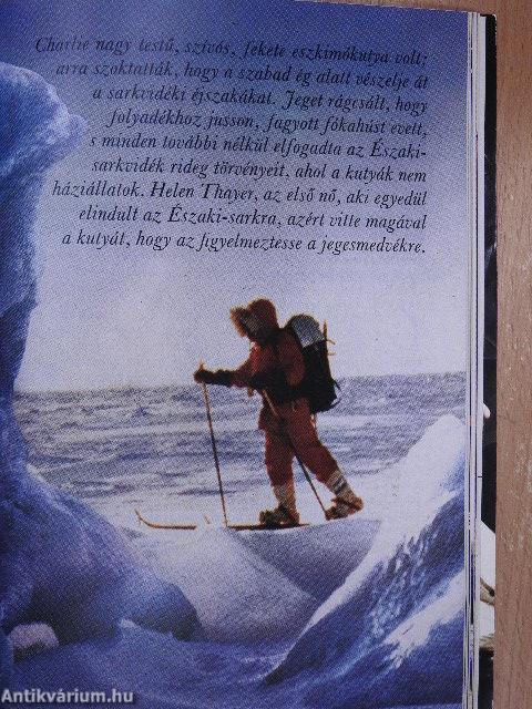 Reader's Digest Válogatás 1993. október