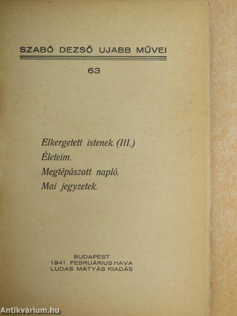 Elkergetett istenek (III.)/Életeim/Megtépászott napló/Mai jegyzetek