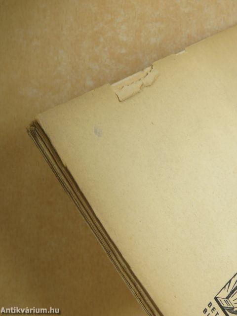 Elkergetett istenek (III.)/Életeim/Megtépászott napló/Mai jegyzetek