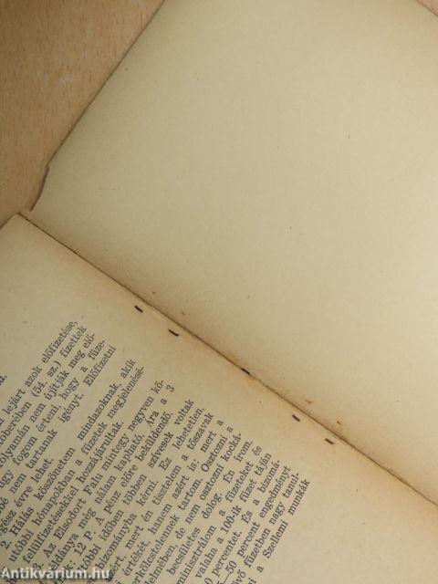 Elkergetett istenek (III.)/Életeim/Megtépászott napló/Mai jegyzetek