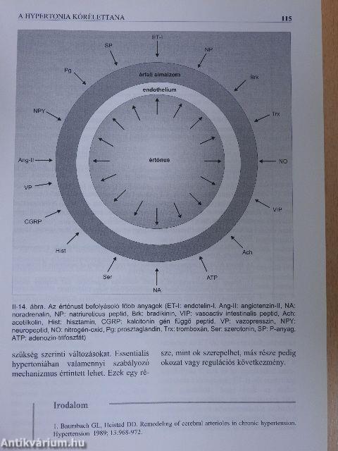 A hypertonia kézikönyve