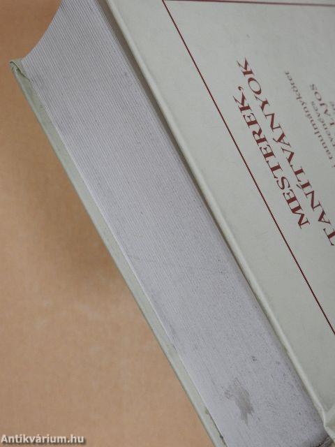 Mesterek, tanítványok