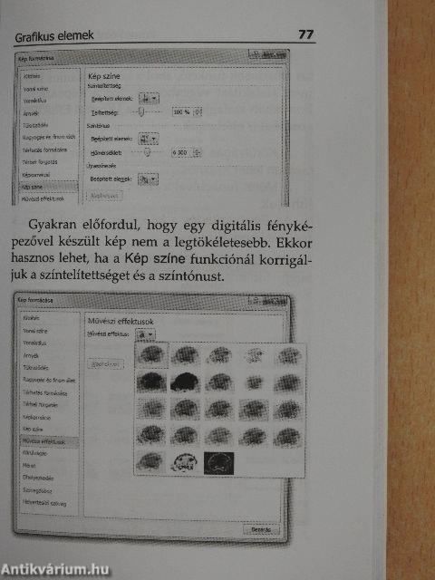 Microsoft PowerPoint 2010 zsebkönyv