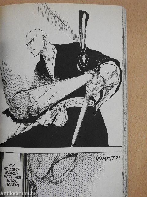 Bleach 10.