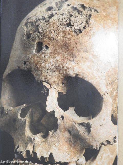 National Geographic Magyarország 2011. január-december