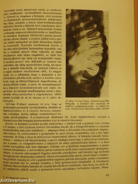 Az orthopaedia tankönyve