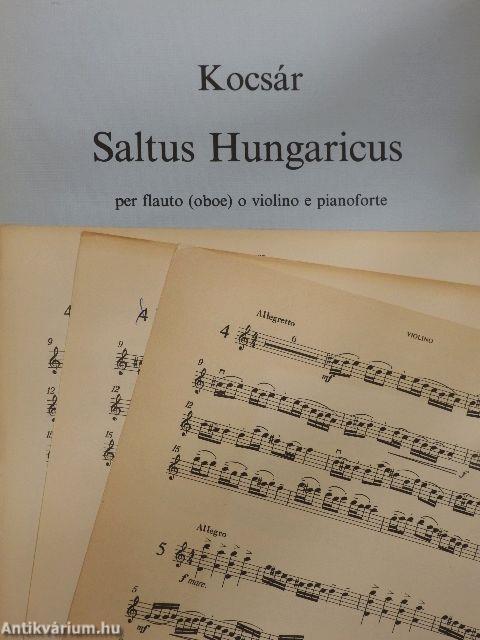 Saltus Hungaricus